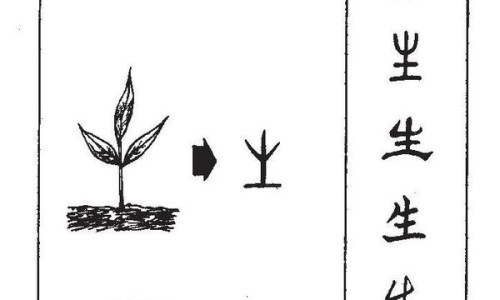 桔饼吃法大全-【桔饼怎么吃法】桔饼的10个经典吃法 - 桔饼吃法网